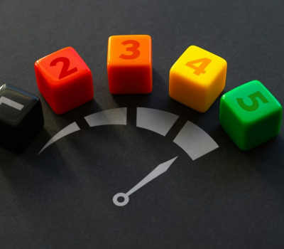 Maturity Models to Assess Logistics Processes