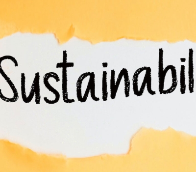 Supply Chain Sustainability